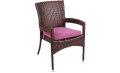 Danier Arm Chair